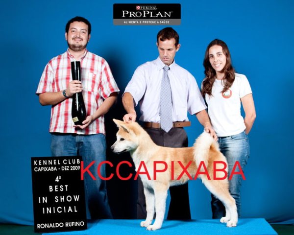 Clique sobre a foto para fechar